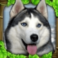 流浪狗模拟器 V1.2 安卓版